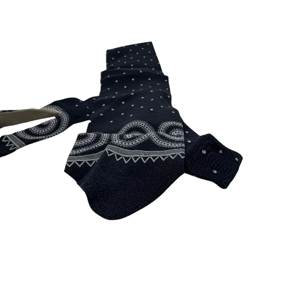 Giorgio Armani Polka Dot Paisley Blue Silk Tie
